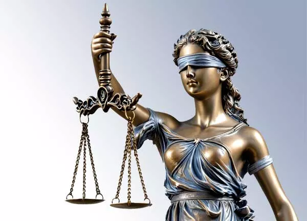 was sagen Experten zur Praxis der Einschlaeferung ohne Narkose Tierschutzgesetz